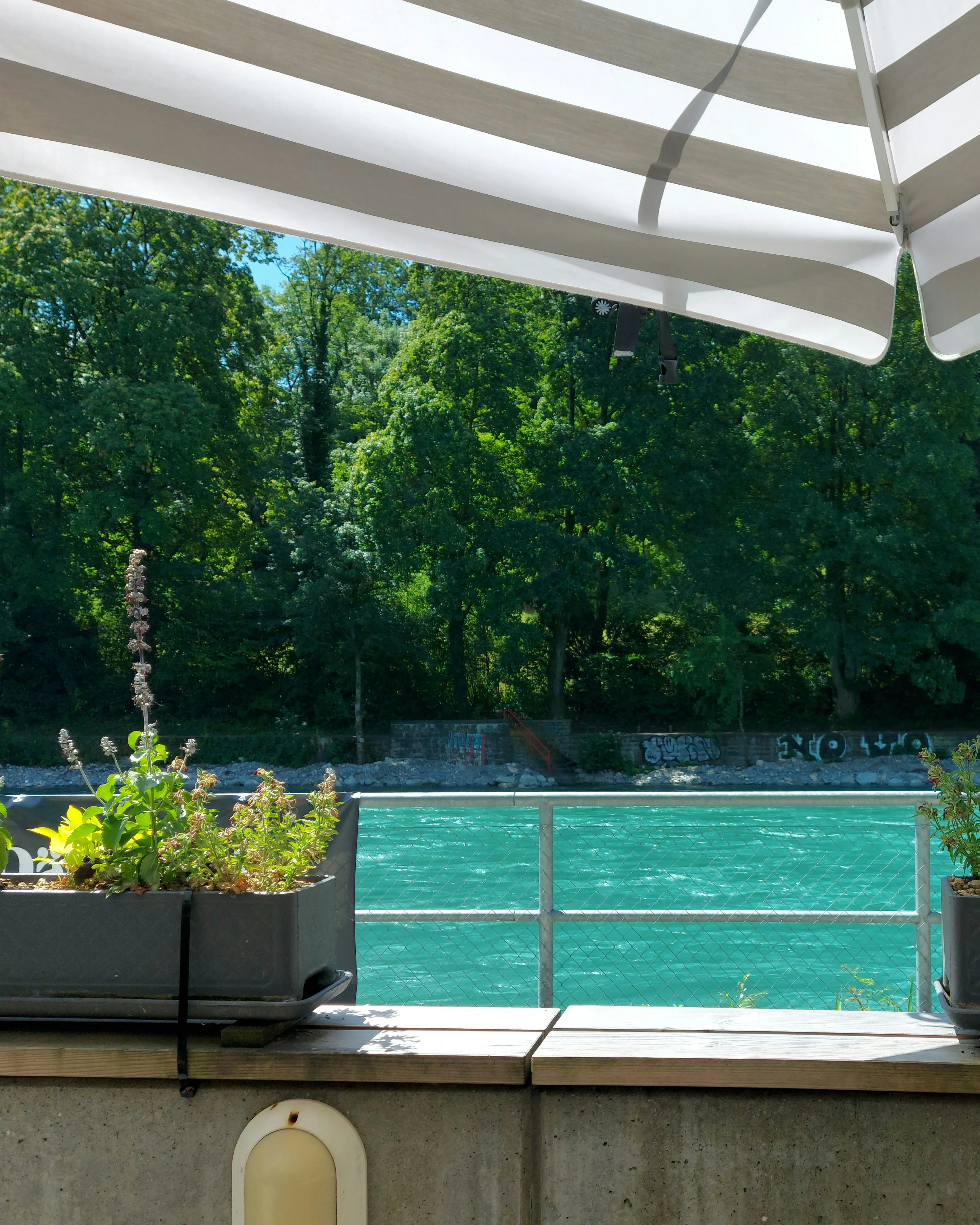 Restaurant Dählhölzli – Geniessen direkt an der Aare beim Tierpark